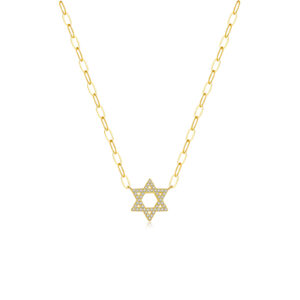 925 Silver Gold-Plated Zircon Star of David Pendant Necklace-MMN512