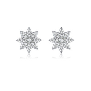 925 Silver Octagram Star-Shaped Paved CZ Stud Earrings-MME1196