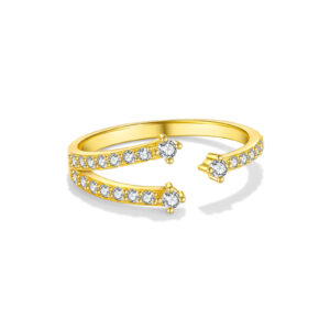 925 Silver Gold-Plated Double-Band Scattered Diamond Ring-MMR242