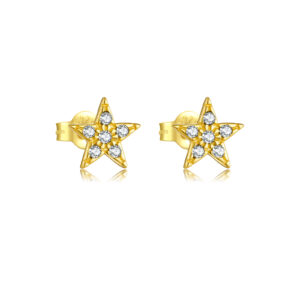 925 Silver Gold Black & White CZ Star Stud Earrings-MME981