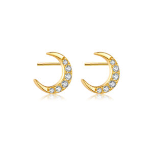 925 Silver Gold Paved CZ Star & Crescent Stud Earrings-MME241